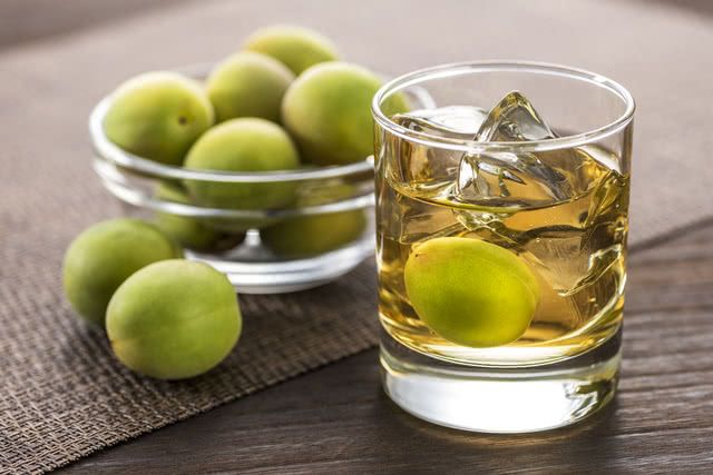 融合在日本人生活中的梅花