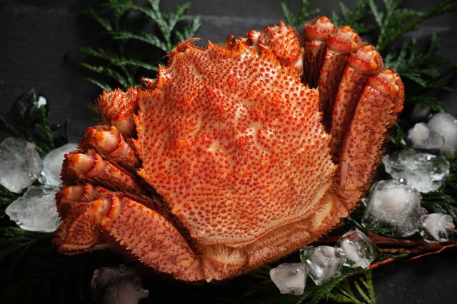 冬天的奢侈食材!到日本吃螃蟹