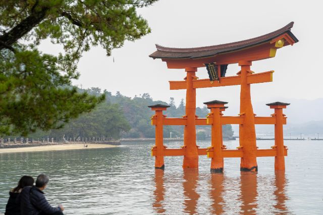 Enjoy a premium culture experience set in Miyajima, anisland registered as a World Heritage