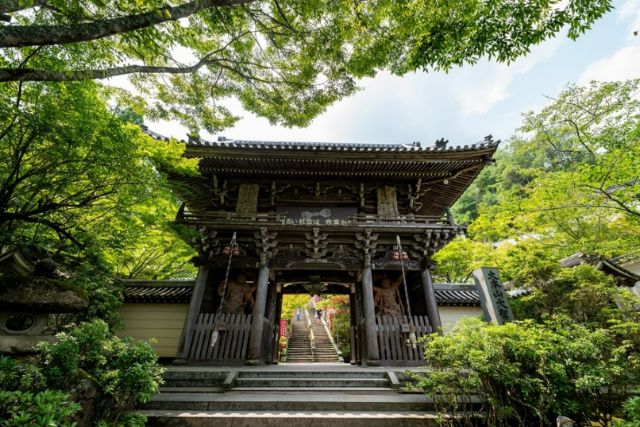 Enjoy a specialexperience at shrines and temples which have been registered as World HeritageSites and National Treasures