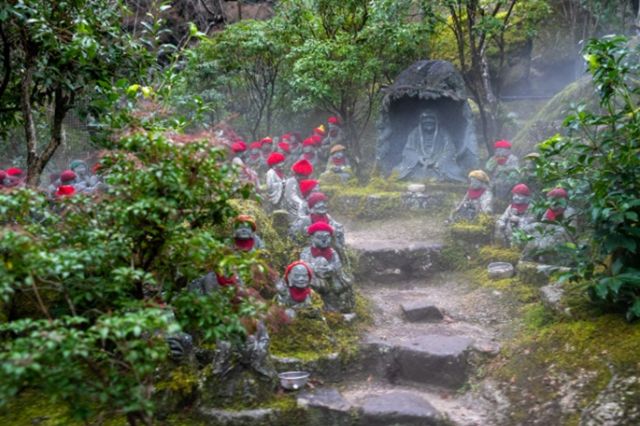 Enjoy a specialexperience at shrines and temples which have been registered as World HeritageSites and National Treasures