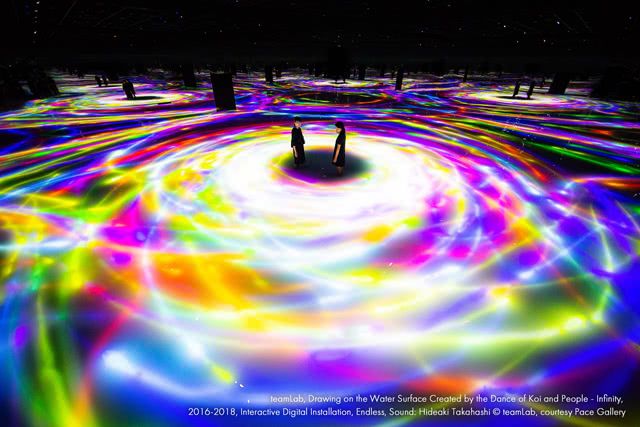 teamLab Planets TOKYO DMM의 매혹적인 세계에 빠져보세요 - 디지털 아트가 물과 꽃과 완벽하게 어우러진 곳!