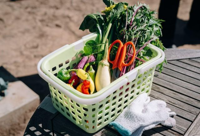 打開幸運之門:到被評為日本第一靈驗的開運寺廟參加佛教儀式熊谷小旅行