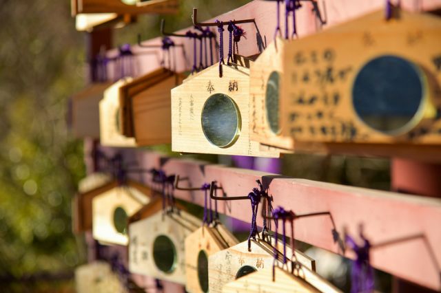 Exploring Shinshiro: A City Packed with Japanese Charm. Immerse Yourself in Local Travel, Enjoying Nature, Hot Springs, and Cuisine | Shinshiro City Wellness Tour