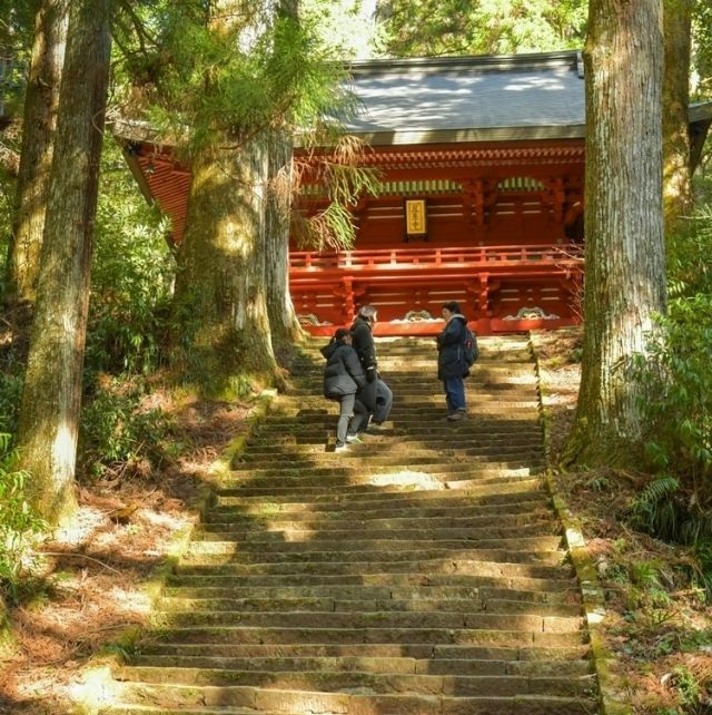 [Day 1] Exploring Shinshiro: A City Packed with Japanese Charm. Immerse Yourself in Local Travel, Enjoying Nature, Hot Springs, and Cuisine | Shinshiro City Wellness Tour