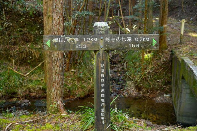 9:30 am: A forest bathing experience to reset your senses.