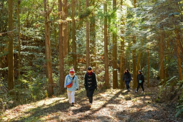 Exploring Shinshiro: A City Packed with Japanese Charm. Immerse Yourself in Local Travel, Enjoying Nature, Hot Springs, and Cuisine | Shinshiro City Wellness Tour