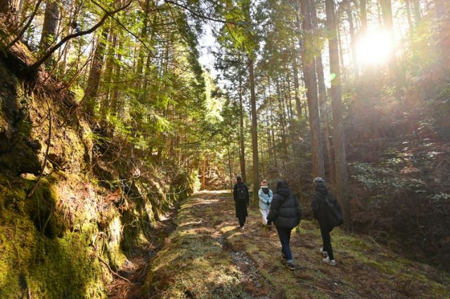 Exploring Shinshiro: A City Packed with Japanese Charm. Immerse Yourself in Local Travel, Enjoying Nature, Hot Springs, and Cuisine | Shinshiro City Wellness Tour