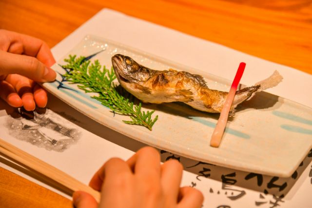 Exploring Shinshiro: A City Packed with Japanese Charm. Immerse Yourself in Local Travel, Enjoying Nature, Hot Springs, and Cuisine | Shinshiro City Wellness Tour