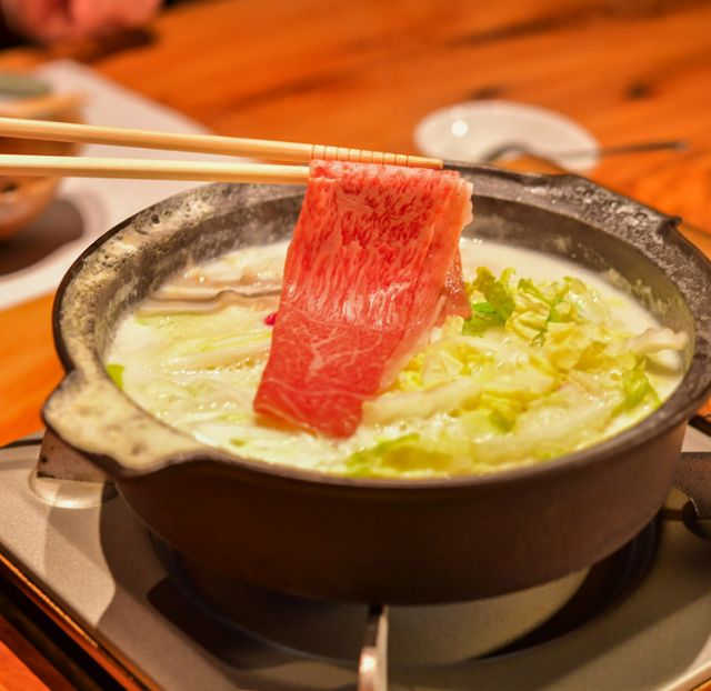 [Day 2] Exploring Shinshiro: A City Packed with Japanese Charm. Immerse Yourself in Local Travel, Enjoying Nature, Hot Springs, and Cuisine | Shinshiro City Wellness Tour