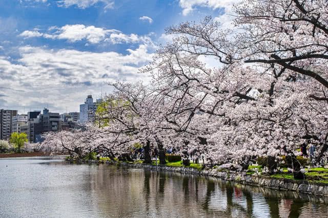 東京都內推薦的賞櫻景點