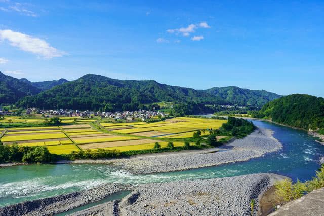 What Makes Niigata Rice So Tasty?