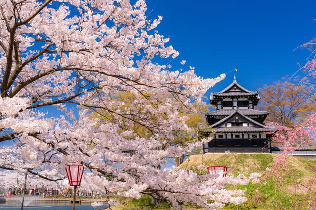 新潟的觀光景點