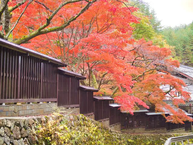 都道府縣的美食排名第4!新潟的美食?