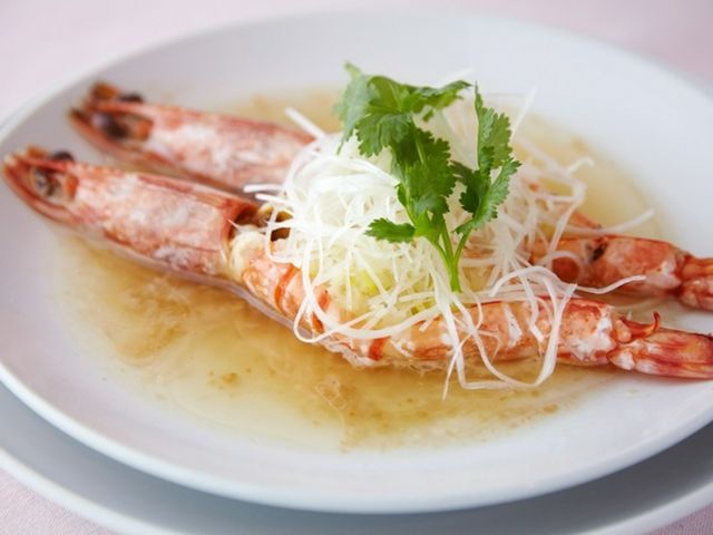 春天來了! 新宿御苑賞櫻後必去的5家店 | 東京新宿御苑附近