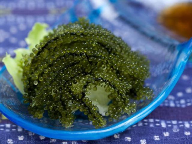 無論是觀光客還是沖繩縣民都極為推薦的那霸、名護嚴選午餐景點彙整