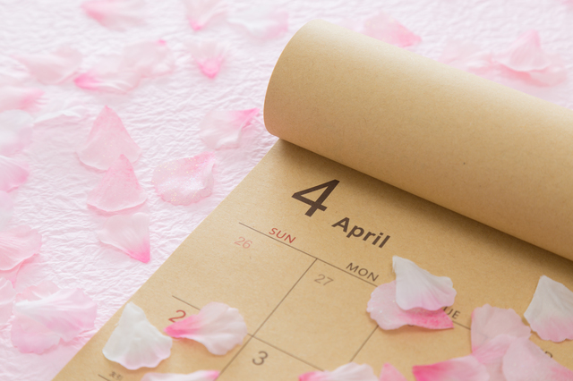 언제가 관람하기에 가장 좋은 시간인가요?