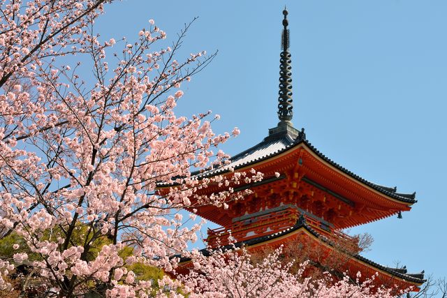2. Kiyomizu-dera Temple (Gojo-zaka Bus Stop)