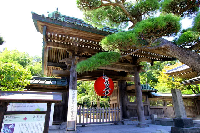 8. Hase Temple