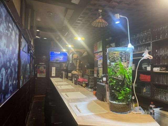 조개와 새우 그리고 게 floor