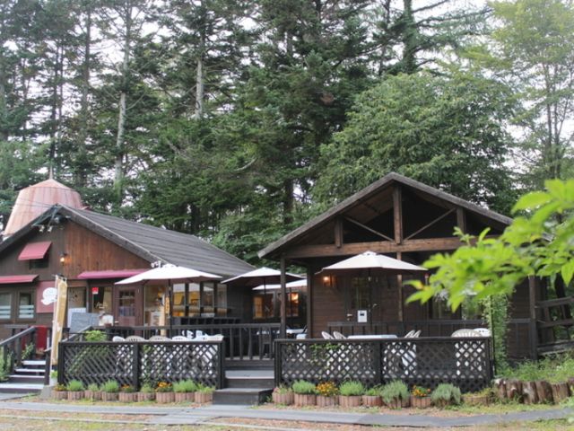 10. Cafe Harmony