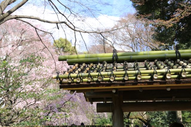 Rikugien Gardens