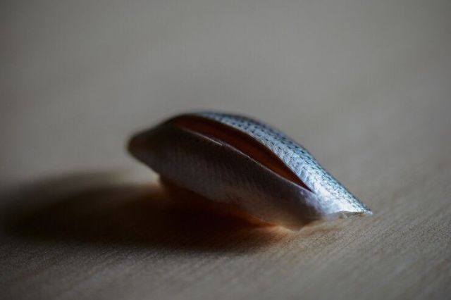 在時尚的六本木區必訪的酷炫店家