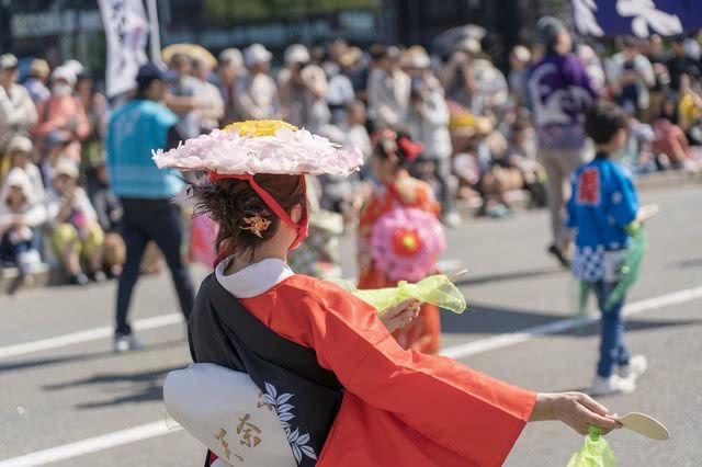 Highlights of the Hakata Dontaku Festival