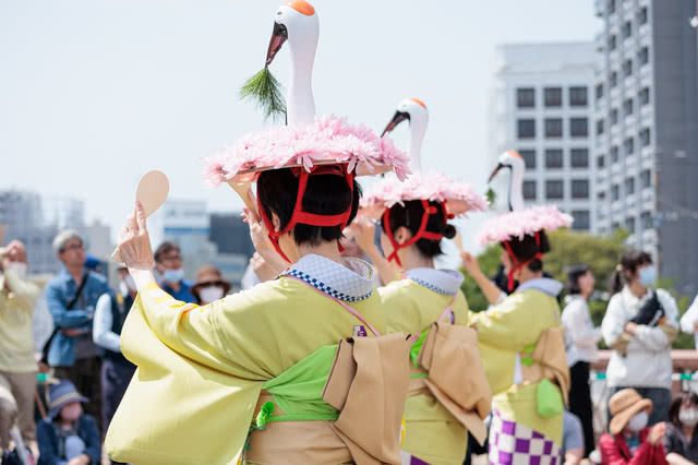 Maximizing Your Time at the Hakata Dontaku Festival