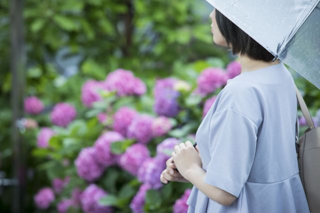 雨季到日本旅遊時的注意事項