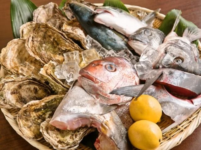 9.前往佐渡島 上野