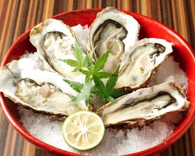 12.海鮮炭火燒 二代目 圭