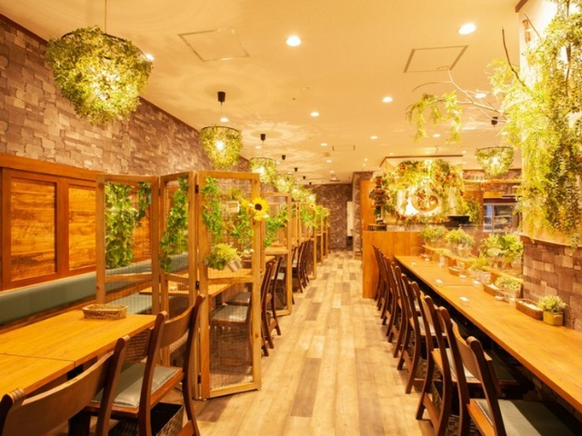 Spring has arrived! 5 restaurants near Hibiya Park, a great spot for seeing flowers in full bloom / Tokyo