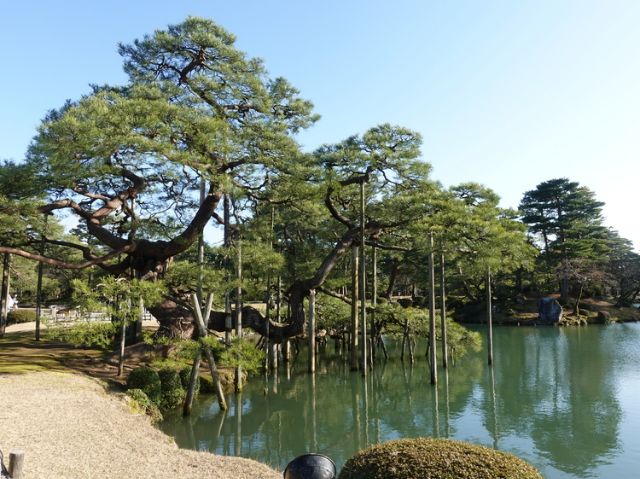 [Day 2] Enjoying Gourmet Food on a 2-Day Trip in Kanazawa, Where Old Townscapes Remain