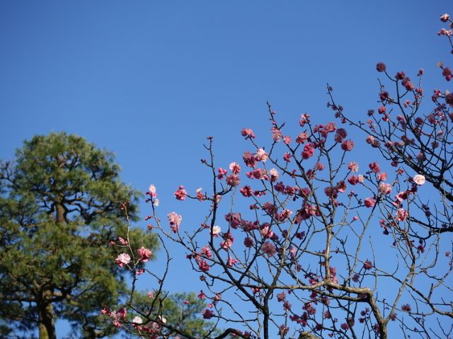 [Day 2] Enjoying Gourmet Food on a 2-Day Trip in Kanazawa, Where Old Townscapes Remain