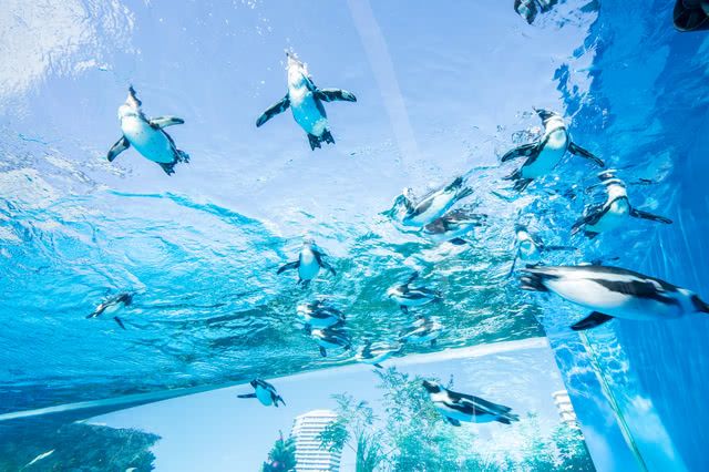 遇到梅雨也想去玩！雨天的推薦室内景點（東京編）