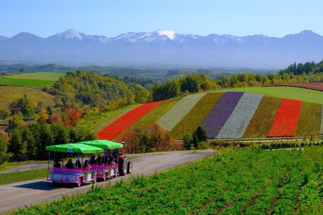 Admire the Stunning, Colorful Scenery of Summer in Hokkaido