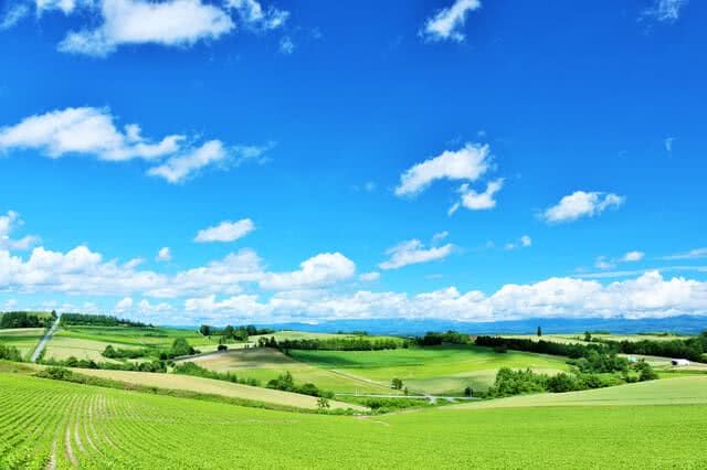 Admire the Stunning, Colorful Scenery of Summer in Hokkaido