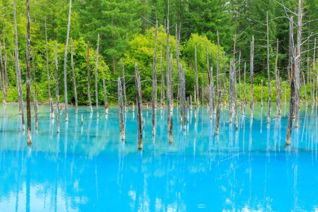 令人震懾的規模！夏日北海道的多採美景