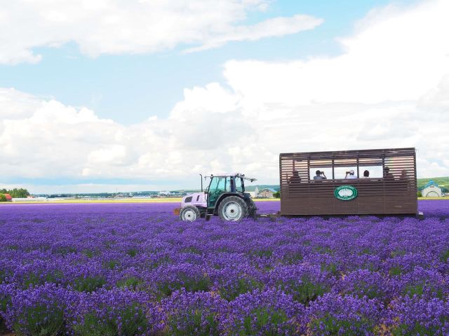 令人震懾的規模！夏日北海道的多採美景