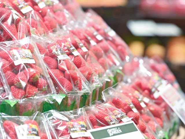 Eat, play, and shop: A day offun for everyone at AEON MALL KYOTO!