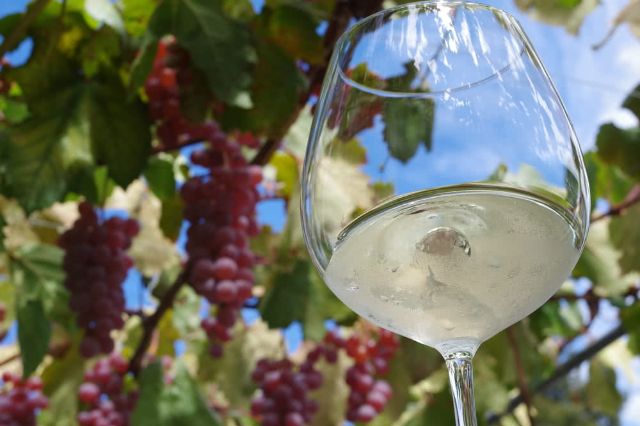 美景寶庫！夏天的山梨縣最適合兜風～必去賞花景點介紹