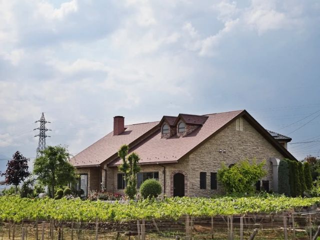 美景寶庫！夏天的山梨縣最適合兜風～必去賞花景點介紹