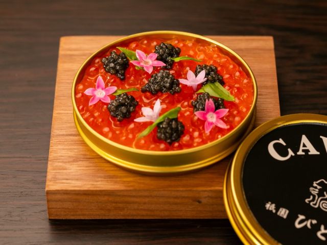 Experience Luxury Dining in Kyoto's Popular Gion District: French Cuisine, Japanese, and Meat!