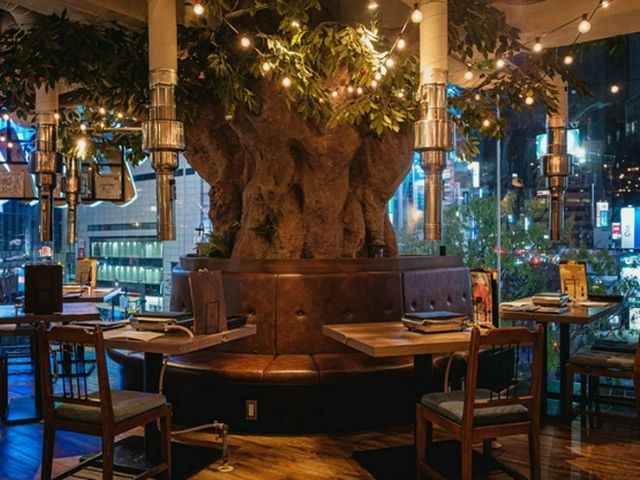 涩谷15个隐藏的午餐地点