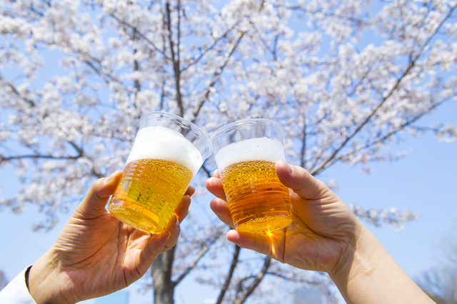 赏花时需要注意的规则和礼仪