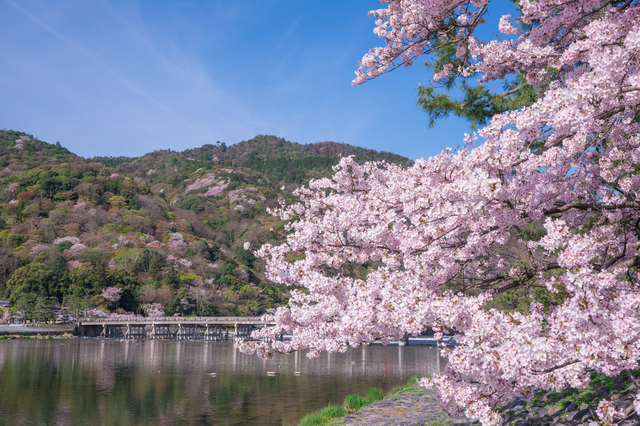 3. Arashiyama (Arashiyama)