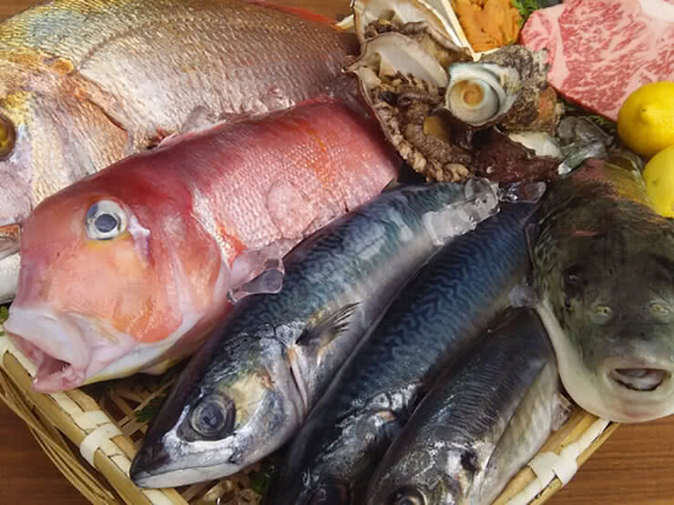 在福冈可以一边欣赏樱花一边享用美食的餐厅