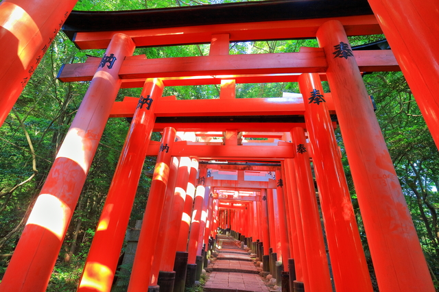 京都著名旅游景点的最佳午餐地点