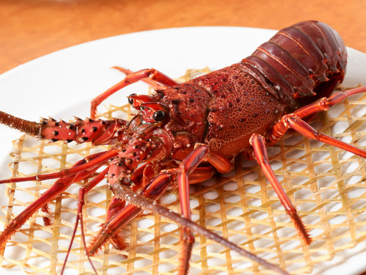 8. Ginza Mushinabe Ho (Ginza)